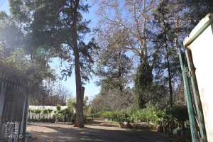 Le jardin de la pépinière de Tlemcen