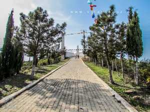 Cimetière des martyrs de Tajra (Honaïne)