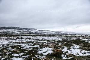 La neige sur les hauteurs de Tlemcen, toujours un plaisir