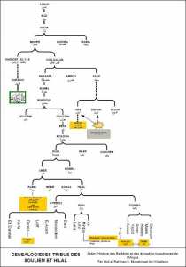 Genealogie banou hillal banou souleim