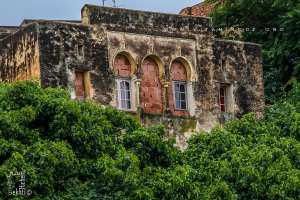 Les maisons anciennes de Tlemcen, veritables joyaux architecturaux
