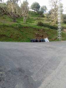 Tiwizi Tajma3t Imezgharen (Volontariat au village Mezrara)