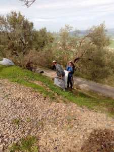 Tiwizi Tajma3t Imezgharen (Volontariat au village Mezrara)