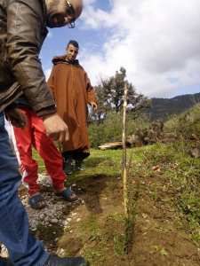Plantation des arbres au village Tifaou-HEllil ! Comité de village