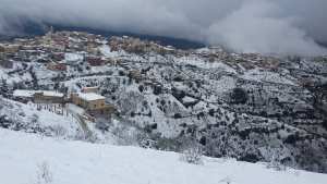 AMALOU SIDI AHMED BEN YAHIA (amalou sidi yahia)