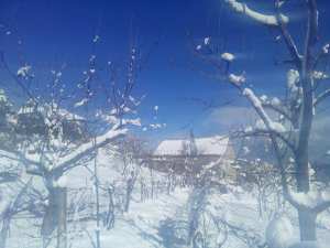 mon village ighil n'tala