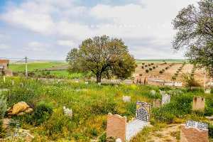 Cimetière de Ouzidane (à coté de Sidi Boukhadra, Saint patron du village)