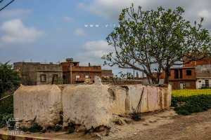 Marabout Sidi Saada au beau milieu de Ouzidane