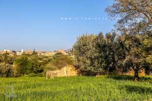 Ancienne ferme dans les champs de ce qui reste de Ouzidan
