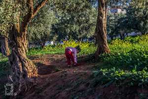 Ouzidan, petite fille jouant dans les dernières parcelles qui restent dans le quartier d'El Hamri