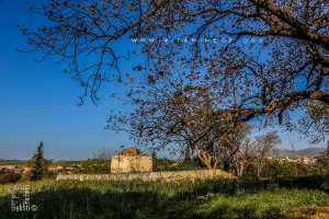 Qui est Sidi-Aïdouni ? (Ouzidan-Tlemcen)