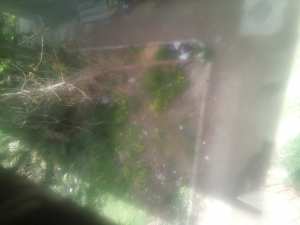 معا لتخلص من النفايات