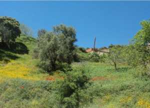 Bouzelatène au printemps 2018