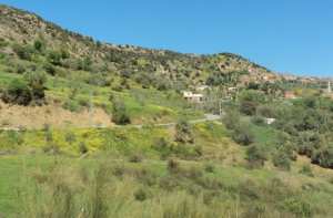 Bouzelatène au printemps 2018