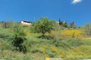 Bouzelatène au printemps 2018