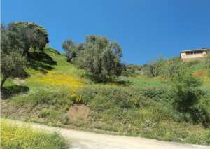 Bouzelatène au printemps 2018