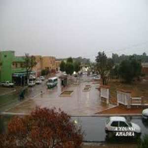 خضرة ورئيسها الجديد