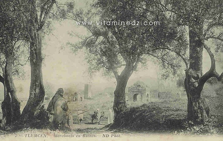 Tlemcen, marabouts en ruines