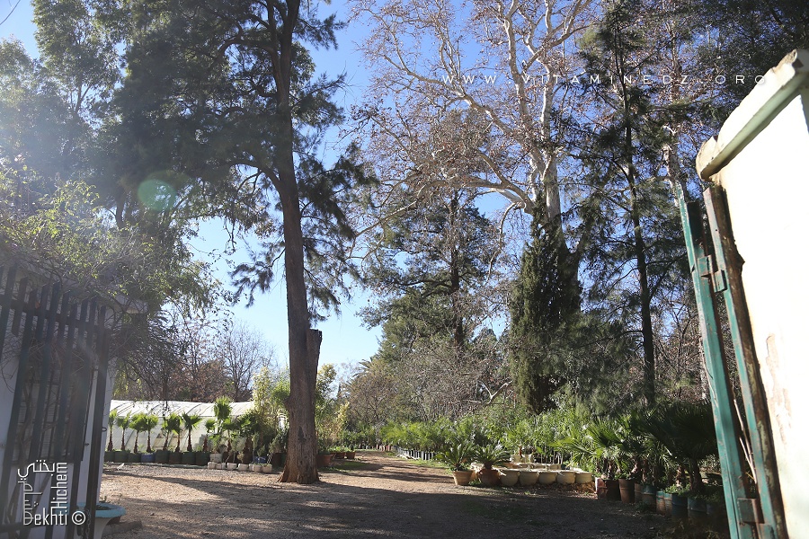 Le jardin de la pépinière de Tlemcen