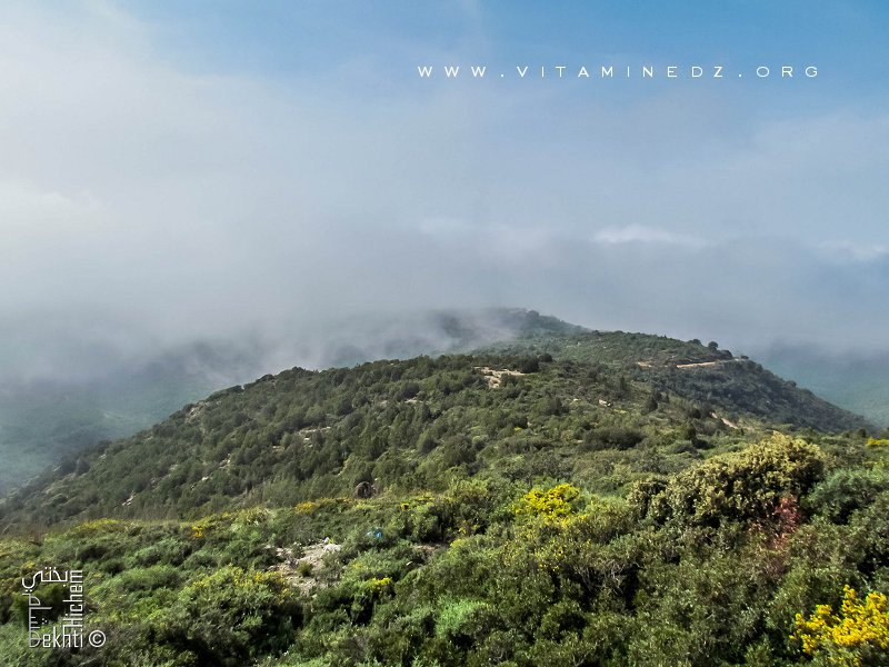 Monts de Tadjra faisant partie des Trarars
