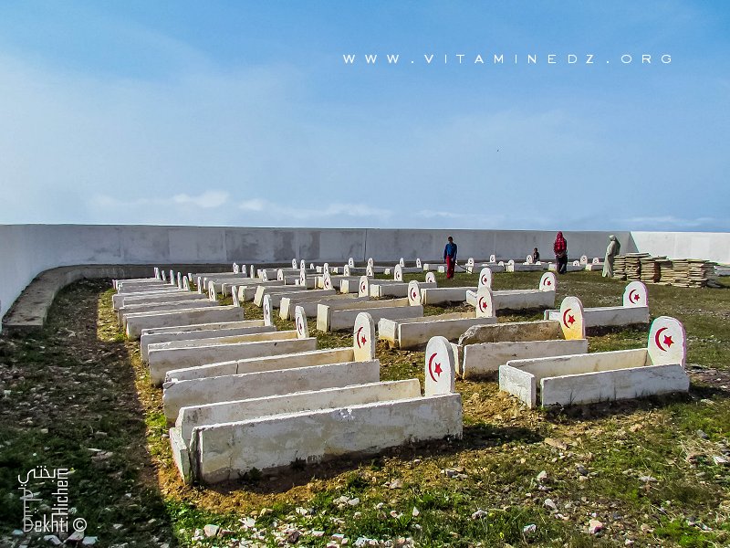 Cimetière des martyrs de Tadjra (Honaïne)