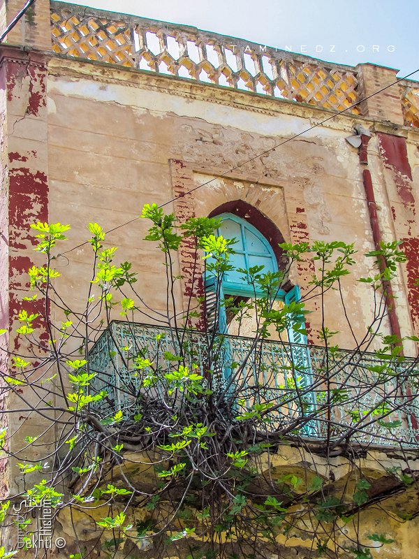 Patrimoine de Nedroma - La Maison de la famille Rahal à l'abandon en plein centre ville