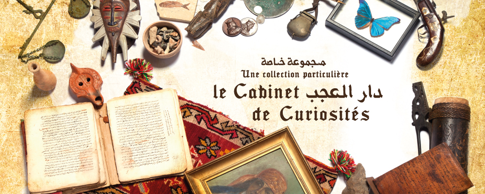 Le Cabinet de Curiosités - Expo du Du 03 mars 2013 au 18 avril 2013