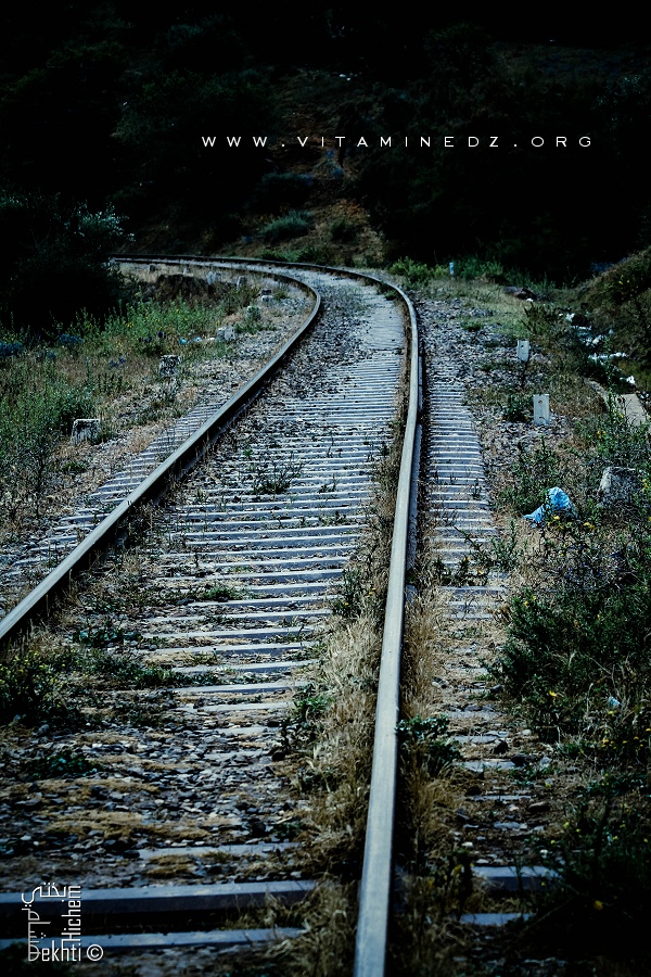 Voie ferrée à Tlemcen ... au lieu de sortir de la ville on lui donne un second souffle 2X plus rapide
