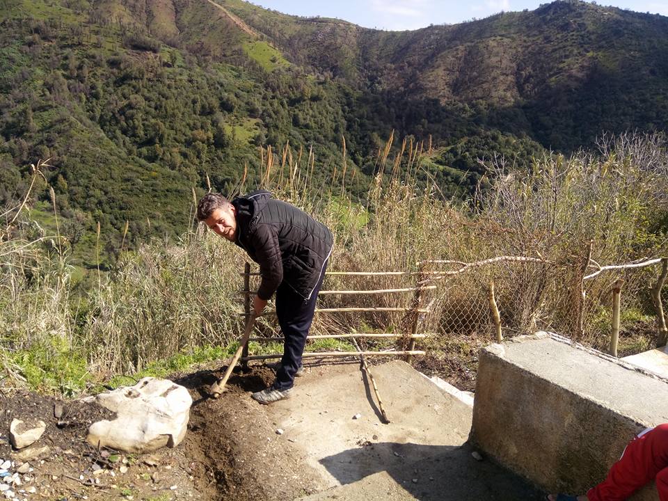 Plantation des arbres au village Tifaou-HEllil ! Comité de village