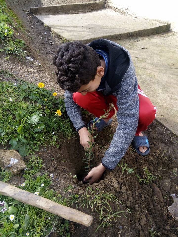 Plantation des arbres au village Tifaou-HEllil ! Comité de village