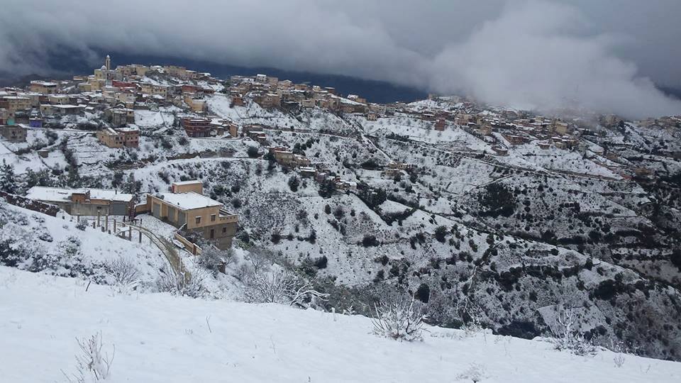 AMALOU SIDI AHMED BEN YAHIA (amalou sidi yahia)