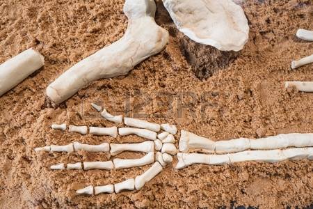 AMALOU SIDI AHMED BEN YAHIA (amalou sidi yahia)