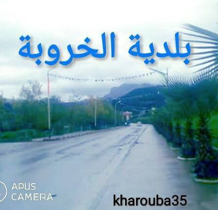 البيئة    في  حدود  البلدية