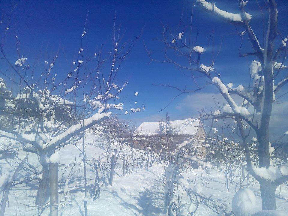 mon village ighil n'tala