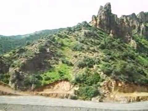 AMALOU SIDI AHMED BEN YAHIA (amalou sidi yahia)