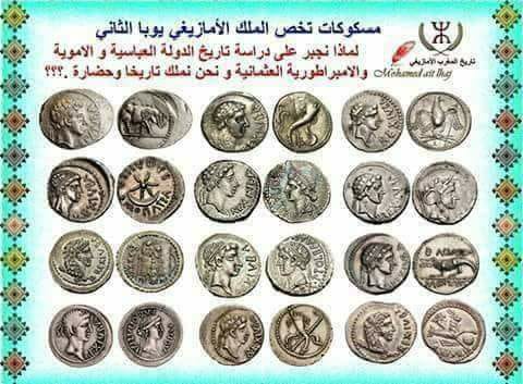 AMALOU SIDI AHMED BEN YAHIA (amalou sidi yahia)