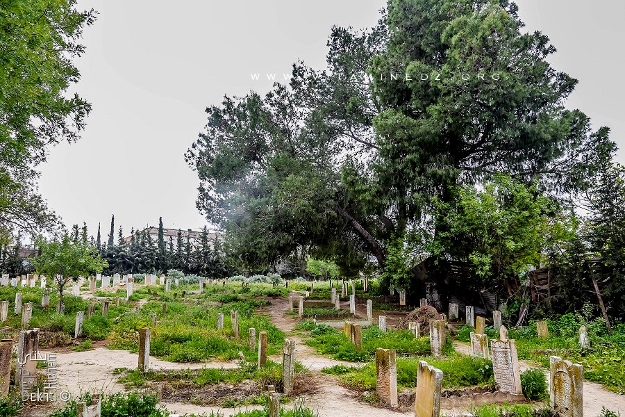 Cimetière de Ouzidane (à coté de Sidi Boukhadra, Saint patron du village)
