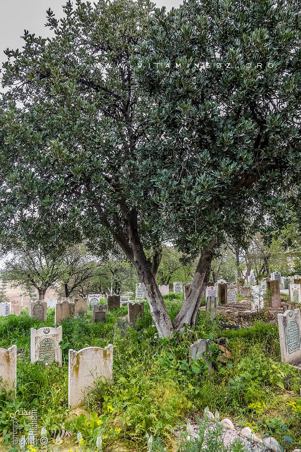 Cimetière de Ouzidane (à coté de Sidi Boukhadra, Saint patron du village)