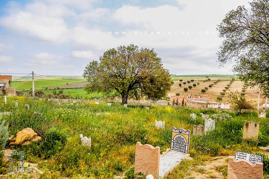 Cimetière de Ouzidane (à coté de Sidi Boukhadra, Saint patron du village)