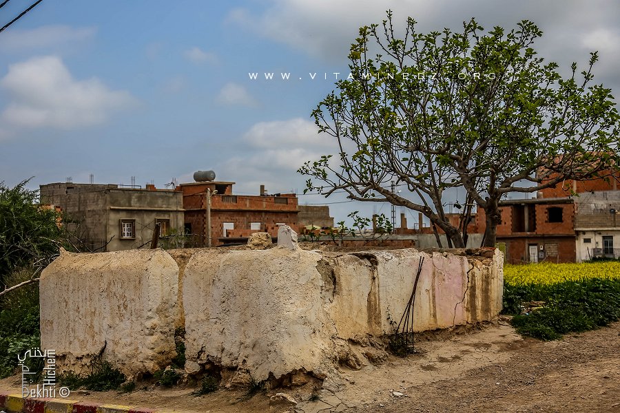 Marabout Sidi Saada au beau milieu de Ouzidane