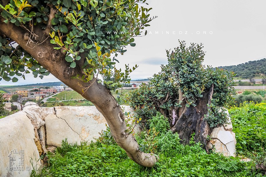 Sidi Malek ou Sidi Abdel Malek ? à l'entrée de Ouzidane