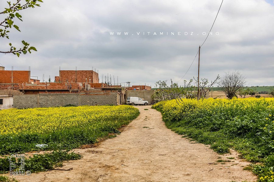 Village d'Ouzidane, avec ses champs sauvages et ses vergers