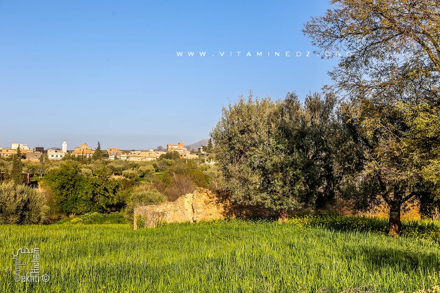 Ancienne ferme dans les champs de ce qui reste de Ouzidan