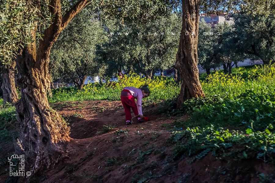 Ouzidan, petite fille jouant dans les dernières parcelles qui restent dans le quartier d'El Hamri