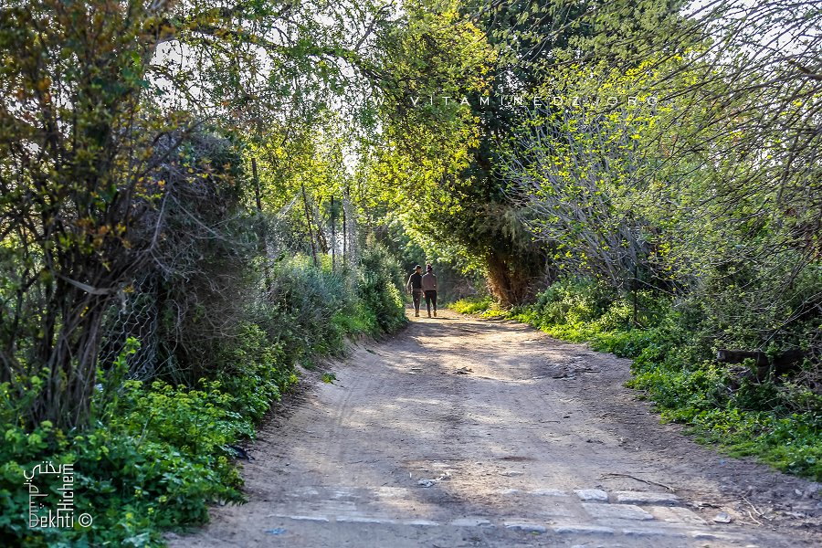 Chemin escarpé à coté du cimetière Sidi Laidouni (Ouzidan)