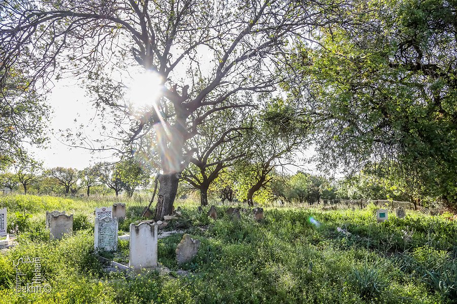 Cimetière Sidi L'Aidouni (Ouzidan-Tlemcen)