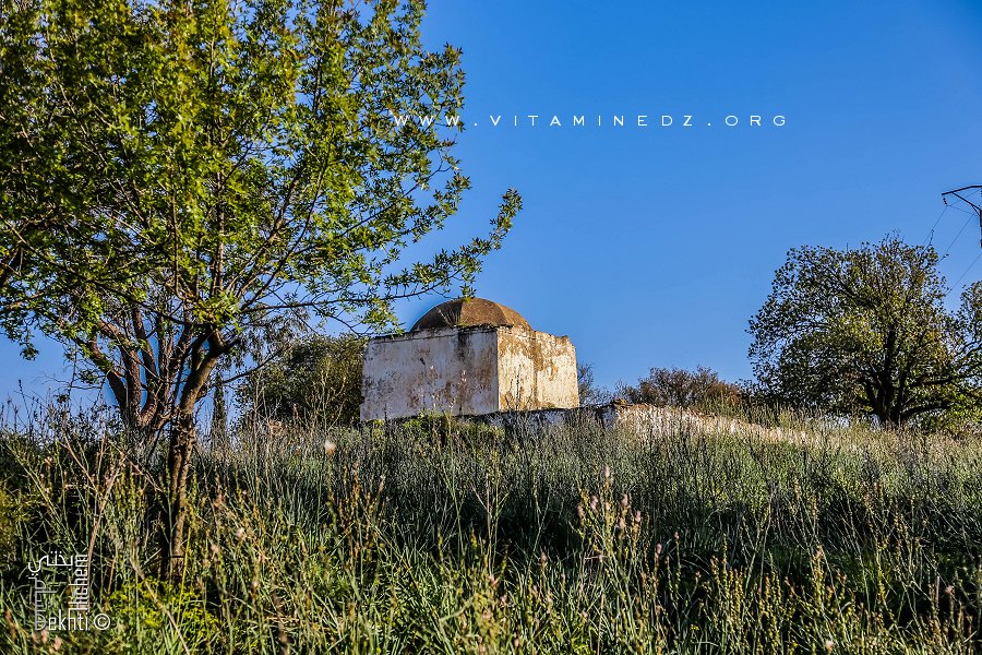Marabout Sidi Laidouni (Ouzidan-Tlemcen)