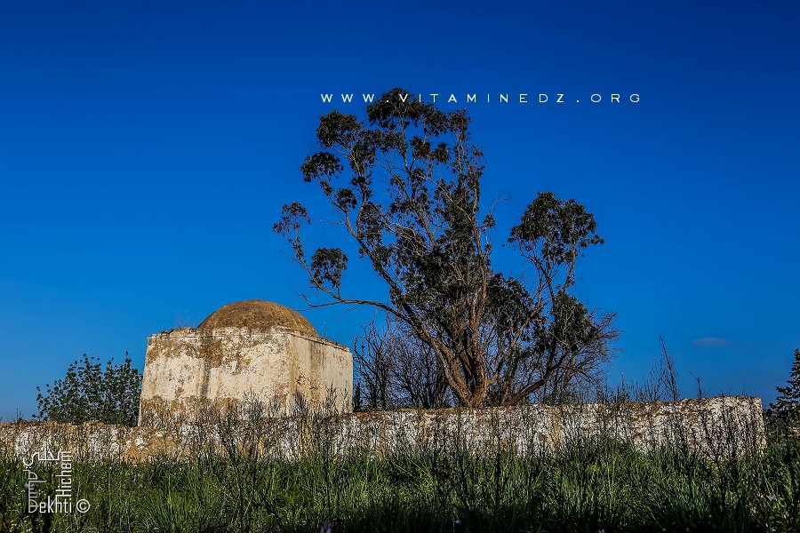 Goubba de Sidi L3aidouni (Ouzidan-Tlemcen)