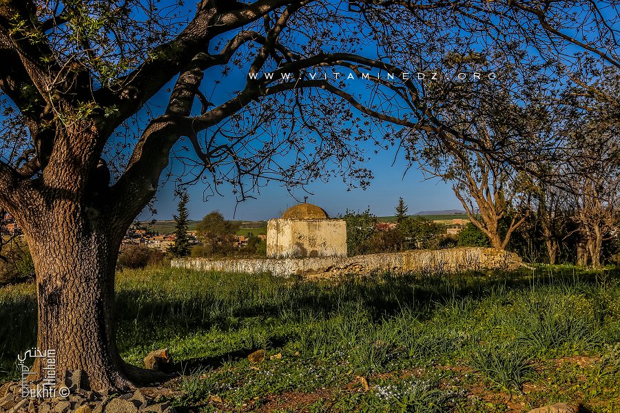 Darih et Goubba de Sidi Laidouni (Ouzidan-Tlemcen)