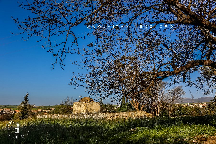 Qui est Sidi-Aïdouni ? (Ouzidan-Tlemcen)